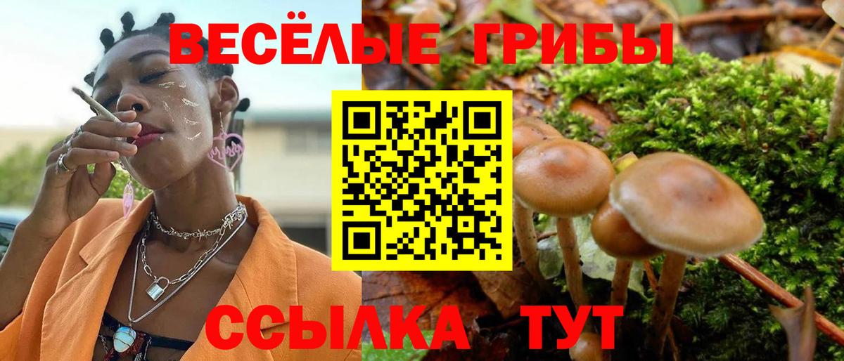 Волжск  Псилоцибиновые грибы Cubensis  Псилоцибиновые грибы GOLDEN TEACHER  Вход с VPN 